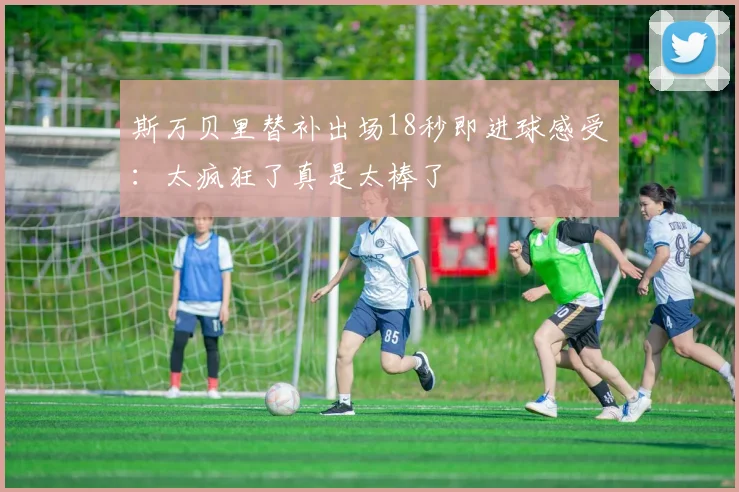 斯万贝里替补出场18秒即进球感受：太疯狂了真是太棒了