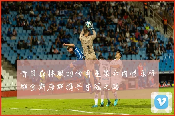 昔日森林狼的传奇重聚加内特乐福维金斯唐斯携手夺冠之路