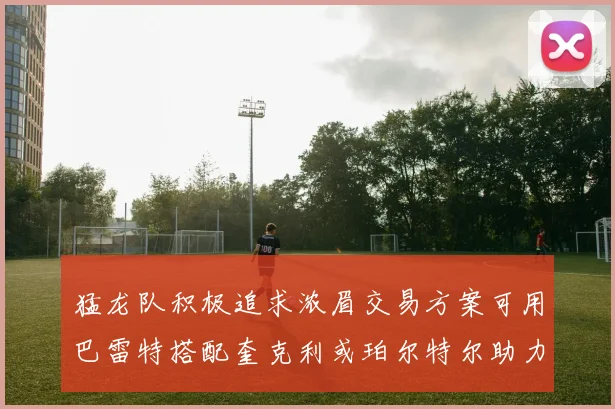 猛龙队积极追求浓眉交易方案可用巴雷特搭配奎克利或珀尔特尔助力交易